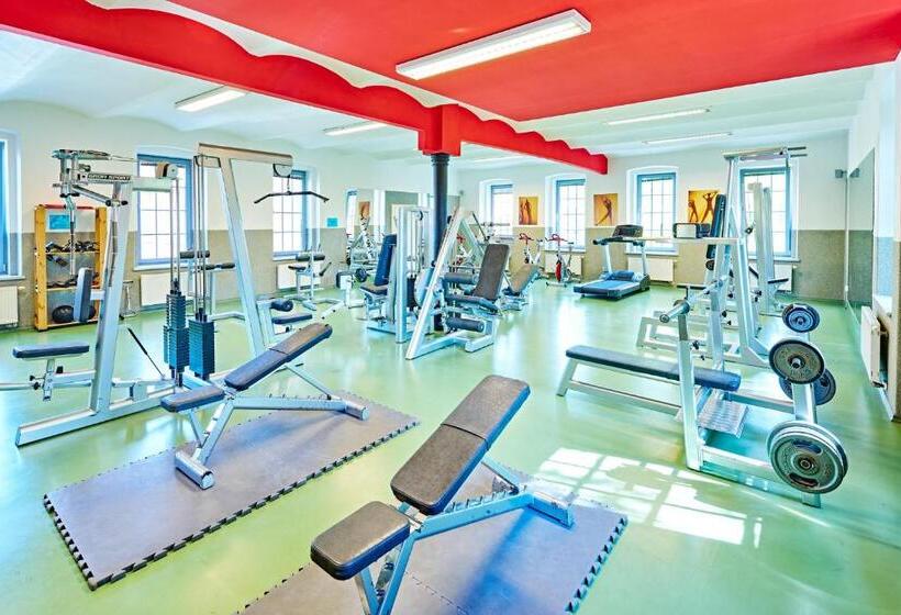 Апартаменты 1 Спальня, Aparthotel Lípa