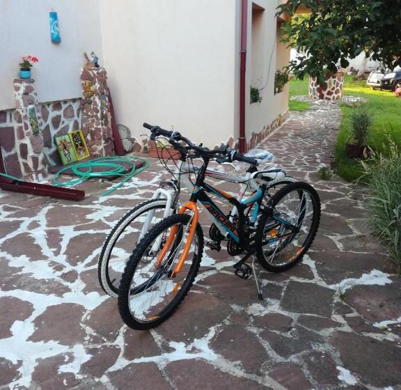 غرفة قياسية مزوَّدة بشُرفة, Hadjibulevata Guest House
