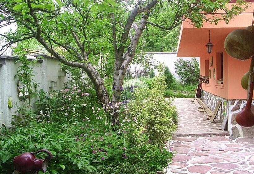 غرفة قياسية, Hadjibulevata Guest House