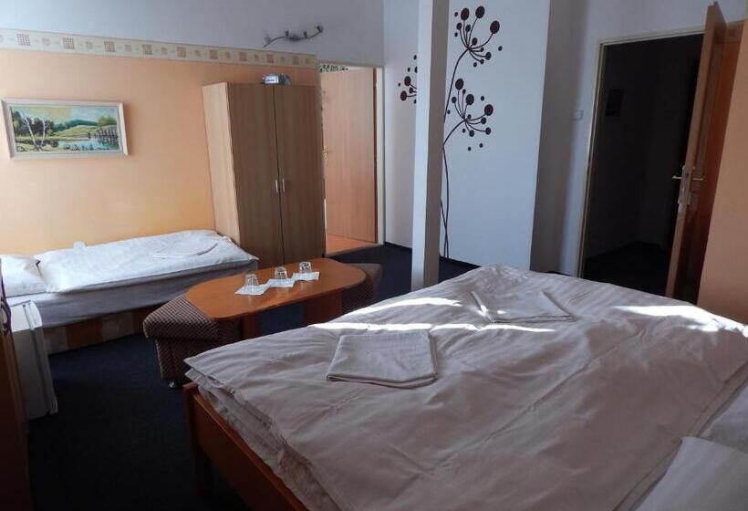 اتاق استاندارد سه نفره, Penzion U Kašných