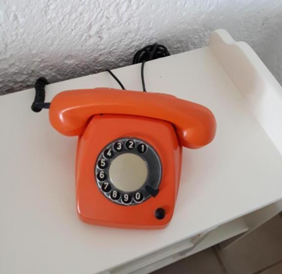 Quarto Estandar Individual, Neon