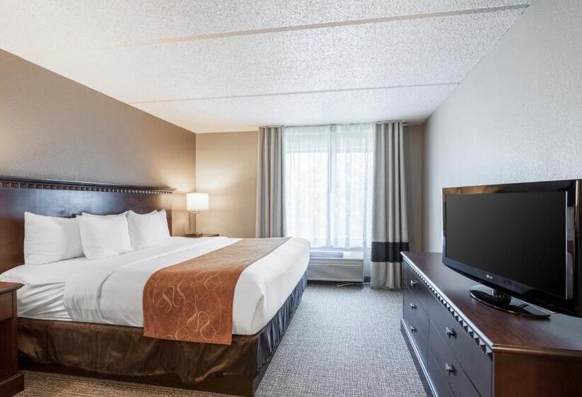 Suite Lit King, Comfort Suites Austin Airport