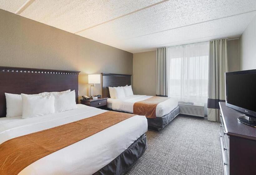 Suite, Comfort Suites Austin Airport