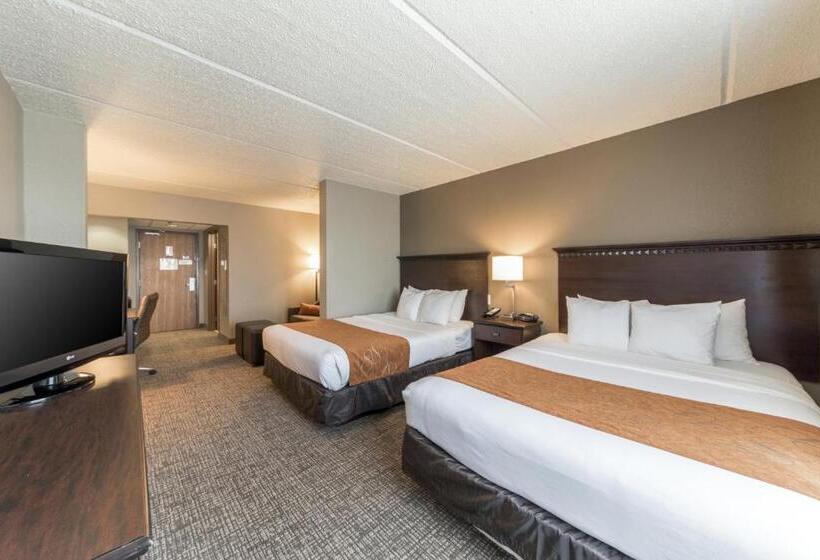 Suite Adaptée aux Personnes à Mobilité Réduite, Comfort Suites Austin Airport