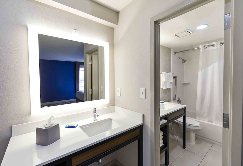 Sviitti, Holiday Inn Express Nashville Downtown   Broadway, An Ihg