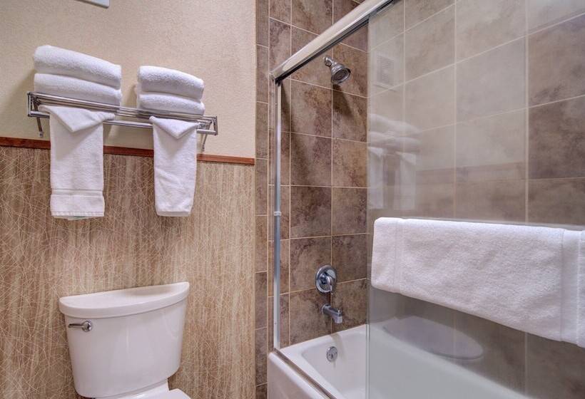 Люкс, Holiday Inn West Yellowstone, An Ihg
