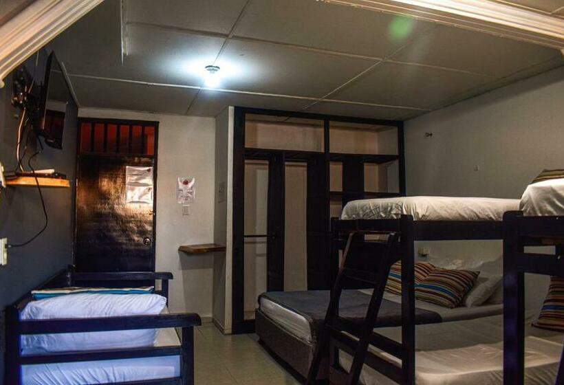 Семейный Номер, Yosu Hostal