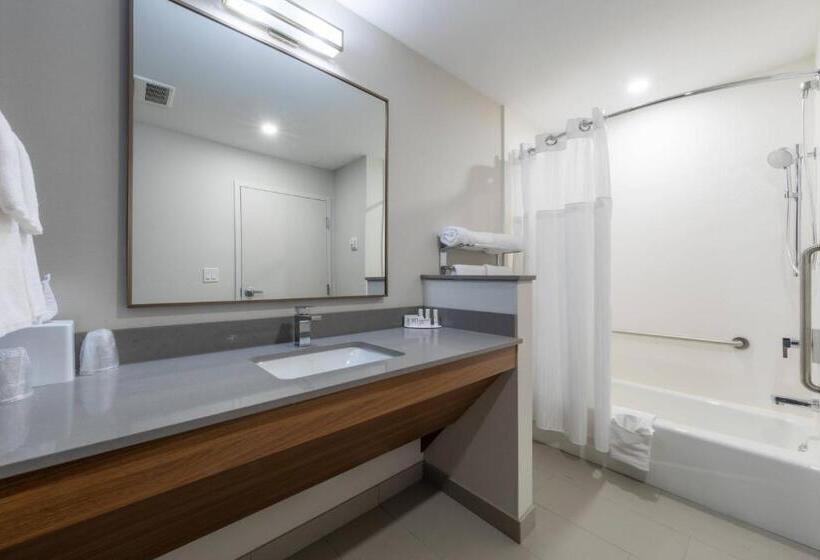 套房, Fairfield Inn & Suites By Marriott Salmon Arm