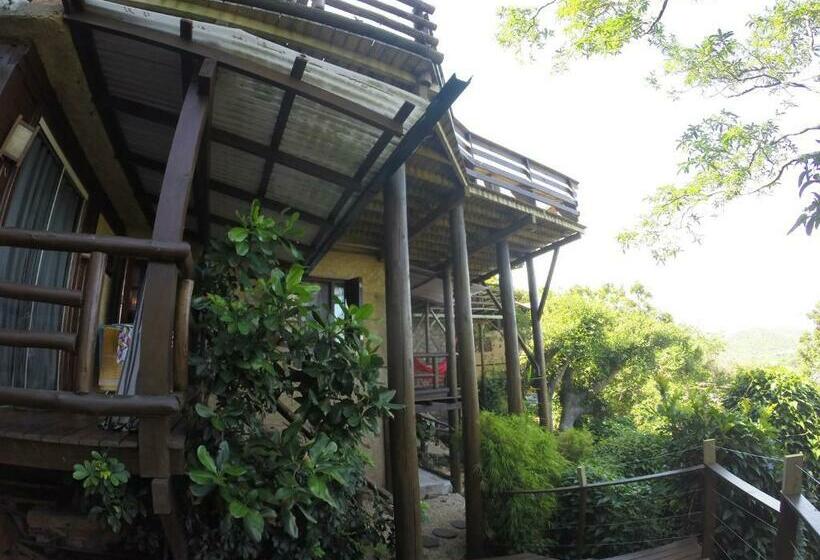 공동 객실, Albergue Explorer   Hostel