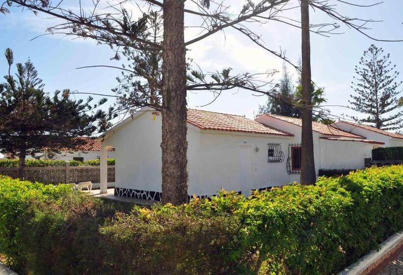 Bangalô Standard, Bungalows Los Arcos
