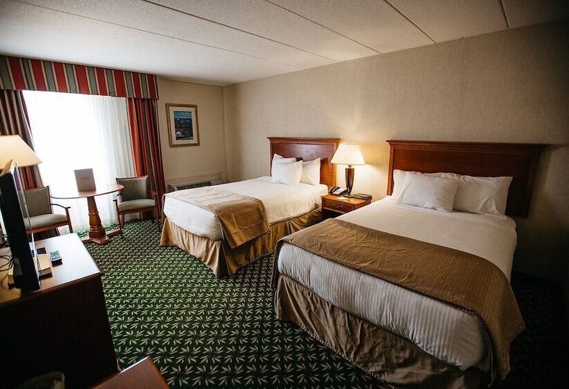 Номер Стандарт 2 Двуспальные Кровати, Mystic River Hotel & Suites