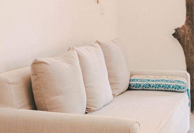 Quarto Superior, Ser Casasandra Boutique