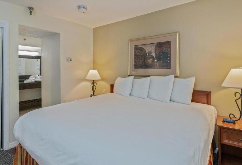 디럭스 스튜디오, Chase Suite Hotel Rocky Point Tampa