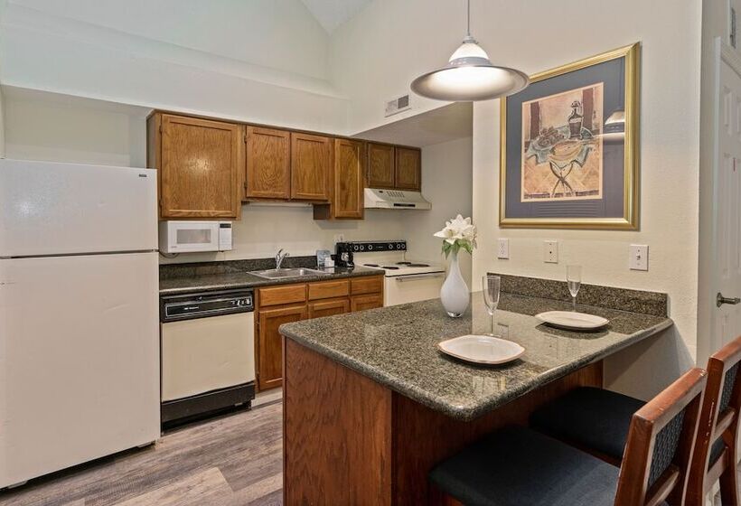 스탠다드 스튜디오, Chase Suite Hotel Rocky Point Tampa