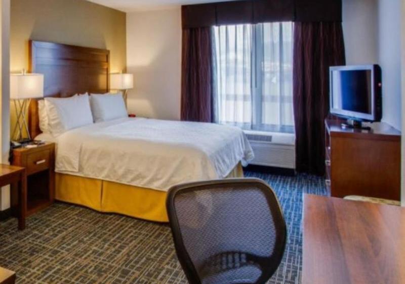 Habitació Estàndard Llit King, Holiday Inn Express San Francisco Airport North, An Ihg