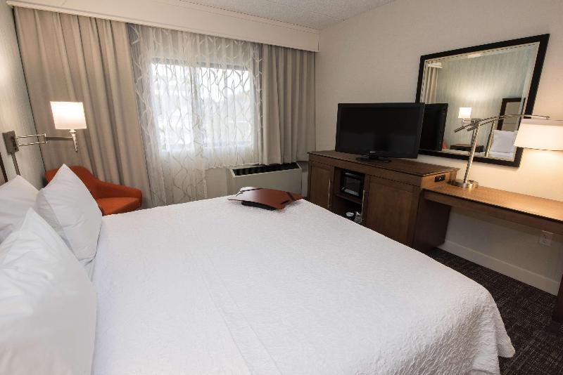 스탠다드 룸 킹사이즈 침대, Hampton Inn Albany Western Ave/university Area