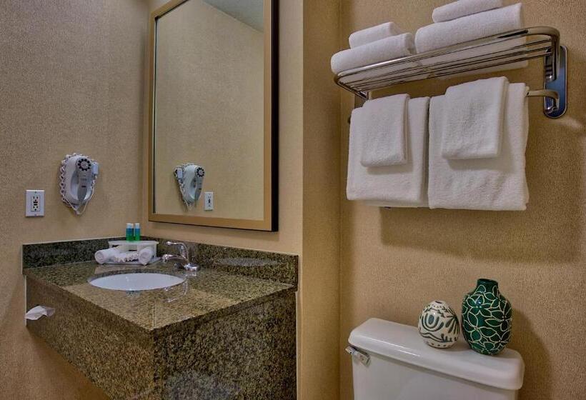 Номер Стандарт, Holiday Inn Express & Suites Costa Mesa, An Ihg