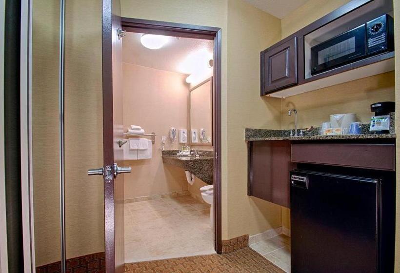 חדר סטנדרט עם מיטת קינג, Holiday Inn Express & Suites Costa Mesa, An Ihg