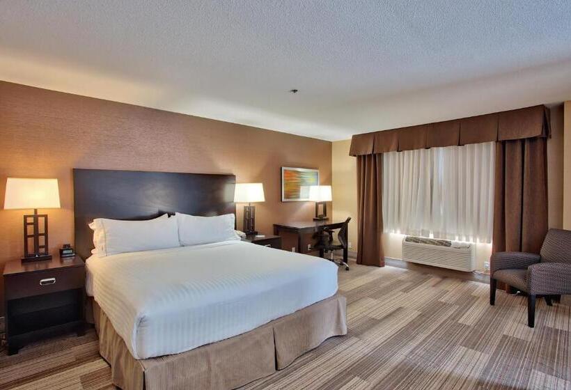 Люкс Кровать Кинг, Holiday Inn Express & Suites Costa Mesa, An Ihg