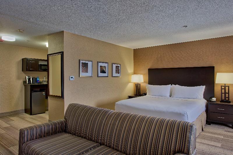 Люкс Кровать Кинг, Holiday Inn Express & Suites Costa Mesa, An Ihg