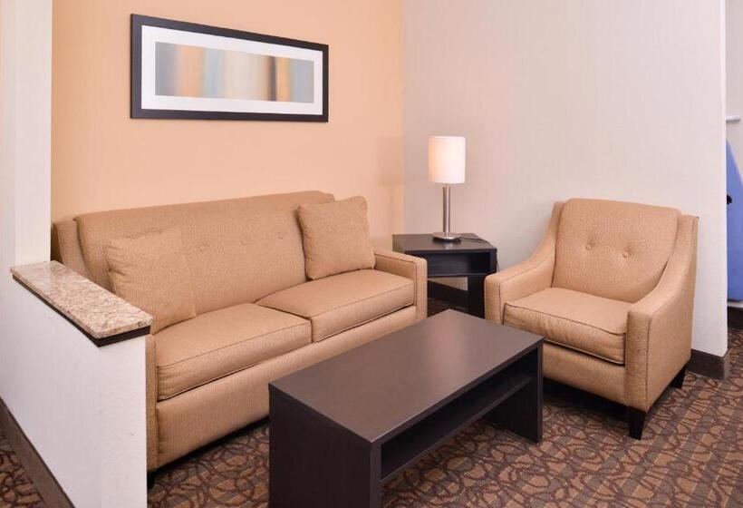 Номер Стандарт, Holiday Inn Express & Suites Topeka West I 70 Wanamaker, An Ihg