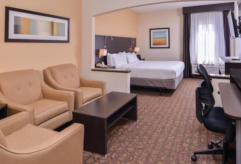 Стандартный Номер Кровать Кинг, Holiday Inn Express & Suites Topeka West I 70 Wanamaker, An Ihg