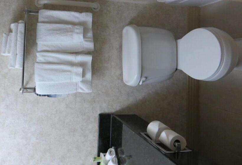 Номер Стандарт Кровать Кинг Адаптированный для Инвалидов, Holiday Inn Express & Suites Topeka West I 70 Wanamaker, An Ihg
