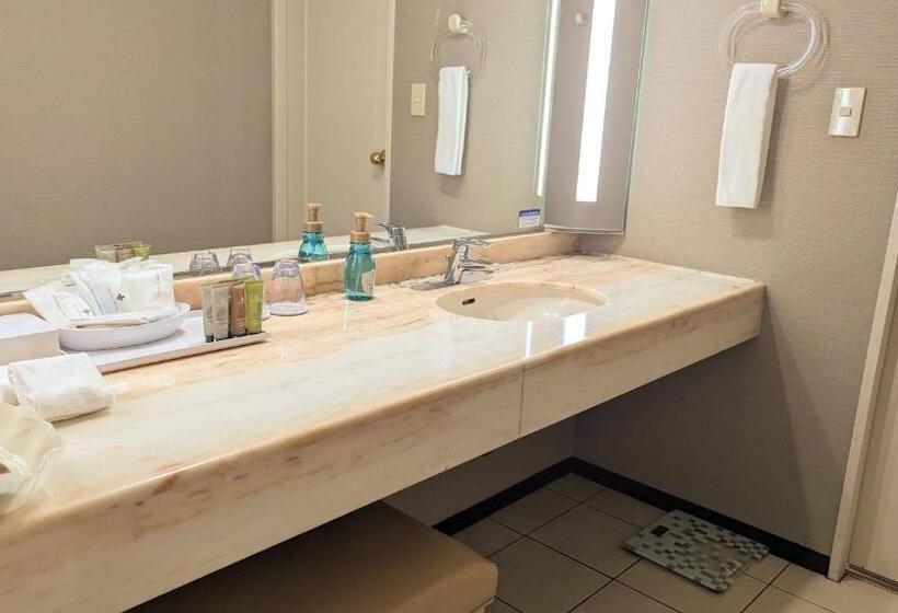 Номер Superior, Premier Hotel Nakajima Park Sapporo