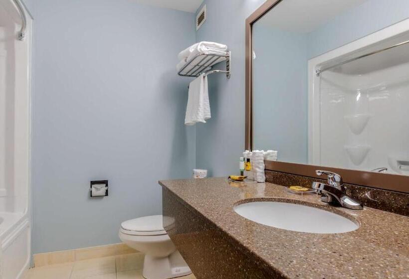 Полулюкс, Best Western Plus Woodstock Hotel Conference Centre