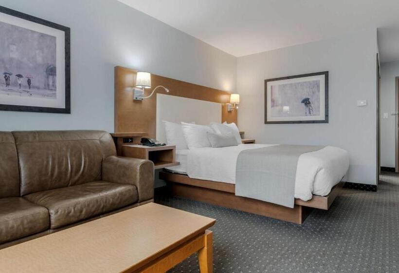 Полулюкс, Best Western Plus Woodstock Hotel Conference Centre