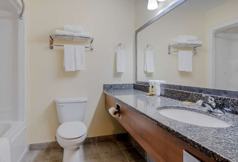 Полулюкс, Best Western Plus Woodstock Hotel Conference Centre