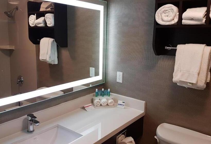 스탠다드 룸 킹사이즈 침대, Holiday Inn Express Hotel & Suites Barrie, An Ihg