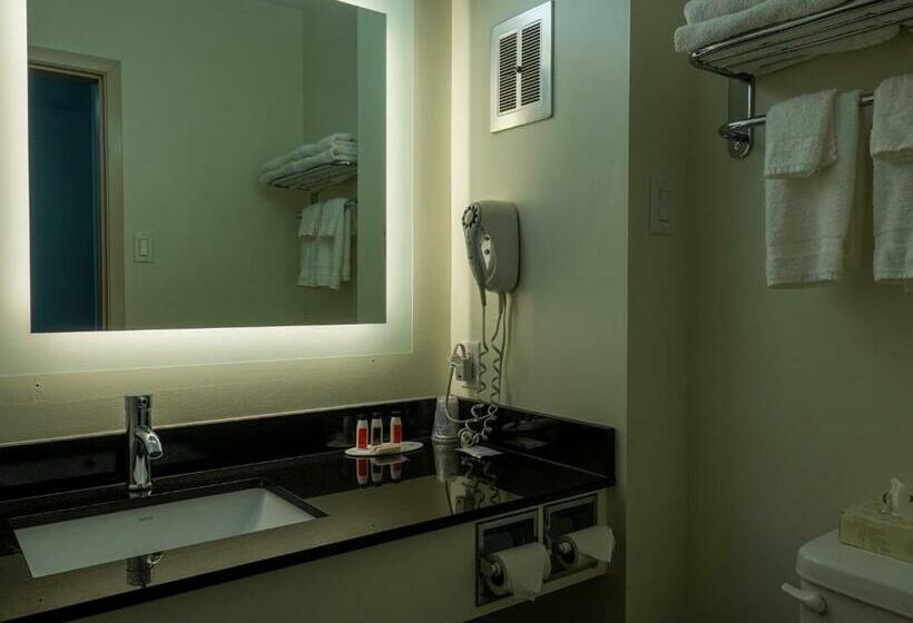 اتاق استاندارد در طبقه همکف, Motel 6 Sault Ste. Marie, On