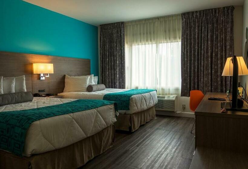 اتاق استاندارد, Motel 6 Sault Ste. Marie, On