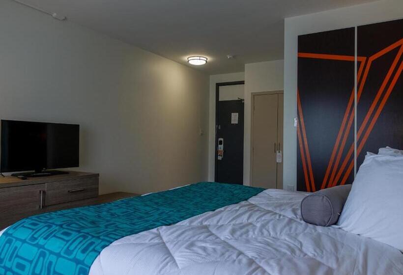 스탠다드 룸 킹사이즈 침대, Motel 6 Sault Ste. Marie, On