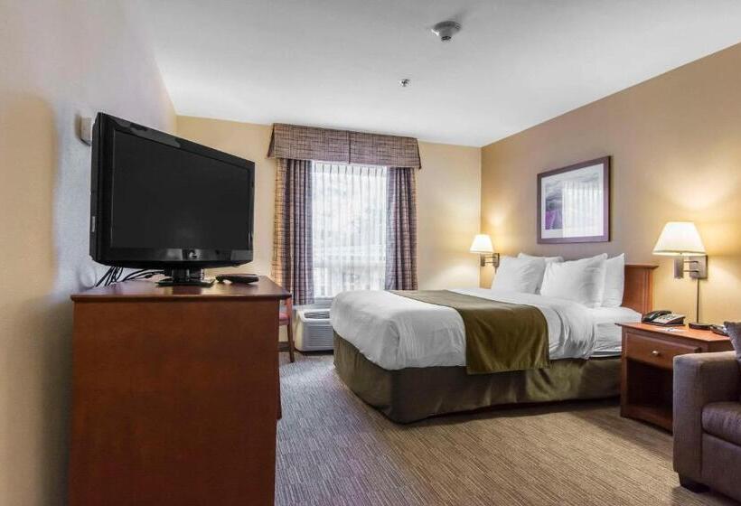 Номер Стандарт, Quality Inn Airport
