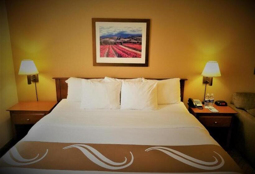 Стандартный Номер Кровать Кинг, Quality Inn Airport