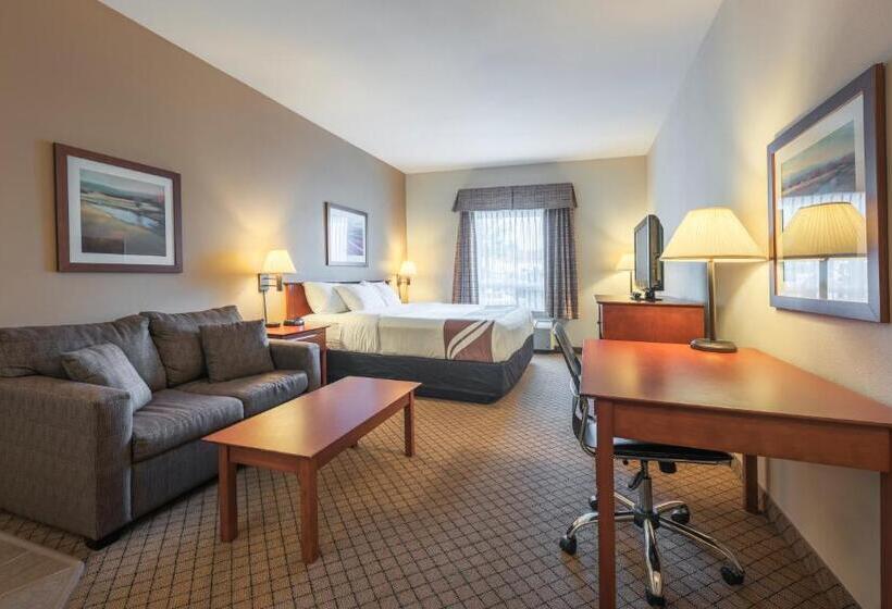 Стандартный Номер Кровать Кинг, Quality Inn Airport