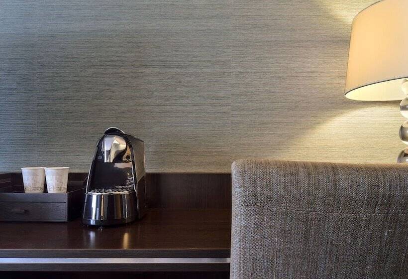 舒适型房间, Van Der Valk Hotel  S Hertogenbosch – Vught