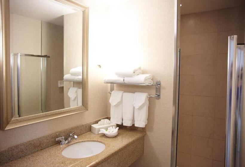스탠다드 룸 킹사이즈 침대, Admiral Inn Mississauga