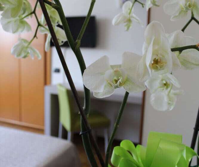 Номер Стандарт, Residence Holiday