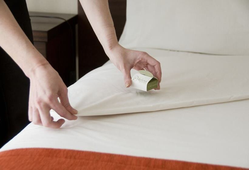 小型套房, Xelena Hotel & Suites