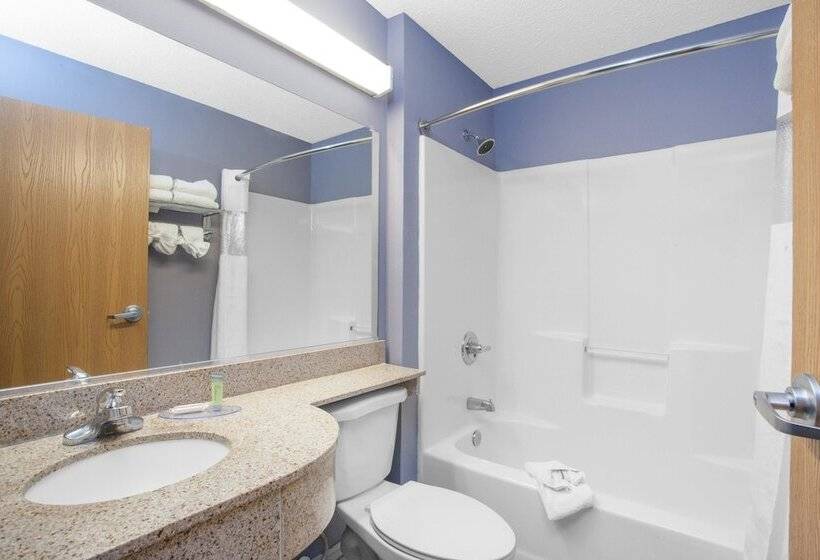 سوییت, Microtel Inn And Suites Dover