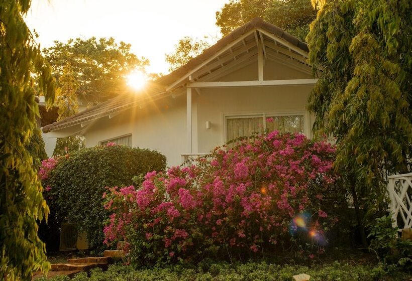 اتاق خانوادگی, Fleur De Lys Resort & Spa Long Hai