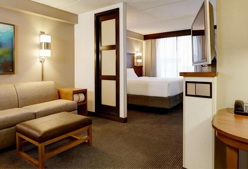 Номер Стандарт Кровать Кинг Адаптированный для Инвалидов, Hyatt Place Fremont/silicon Valley