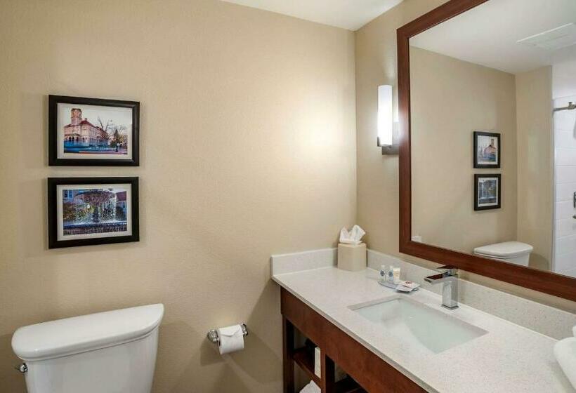 Quarto Estandar Cama King para Deficientes Físicos, Comfort Inn & Suites