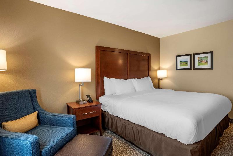 Quarto Estandar Cama King para Deficientes Físicos, Comfort Inn & Suites
