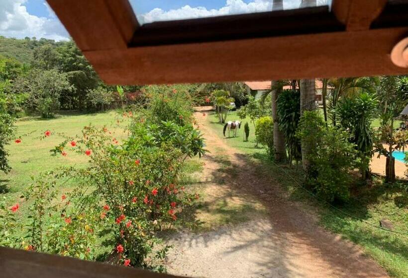 اتاق استاندارد, Espaço João Mineiro