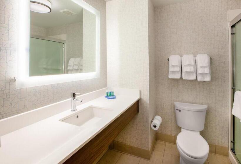 اتاق استاندارد با تخت بزرگ برای معلولان, Holiday Inn Express & Suites   Watertown, An Ihg