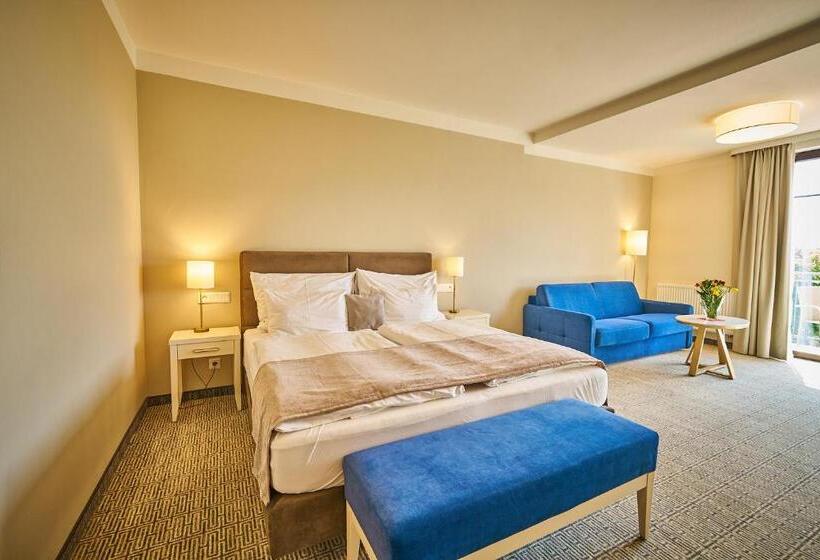 小型套房, Wellness Hotel Queens